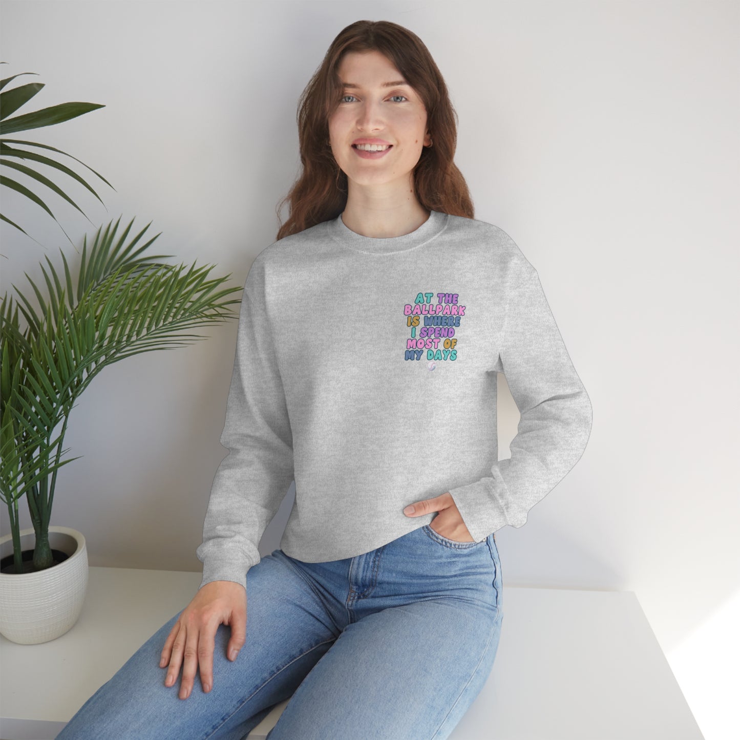 *At the Ballpark Sweatshirt Back Print *5 Colors (S-5X)