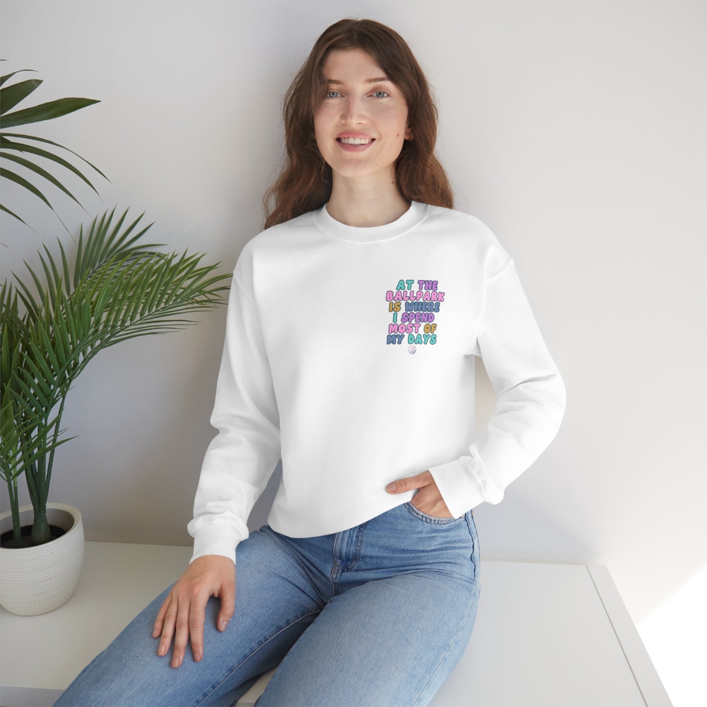 *At the Ballpark Sweatshirt Back Print *5 Colors (S-5X)