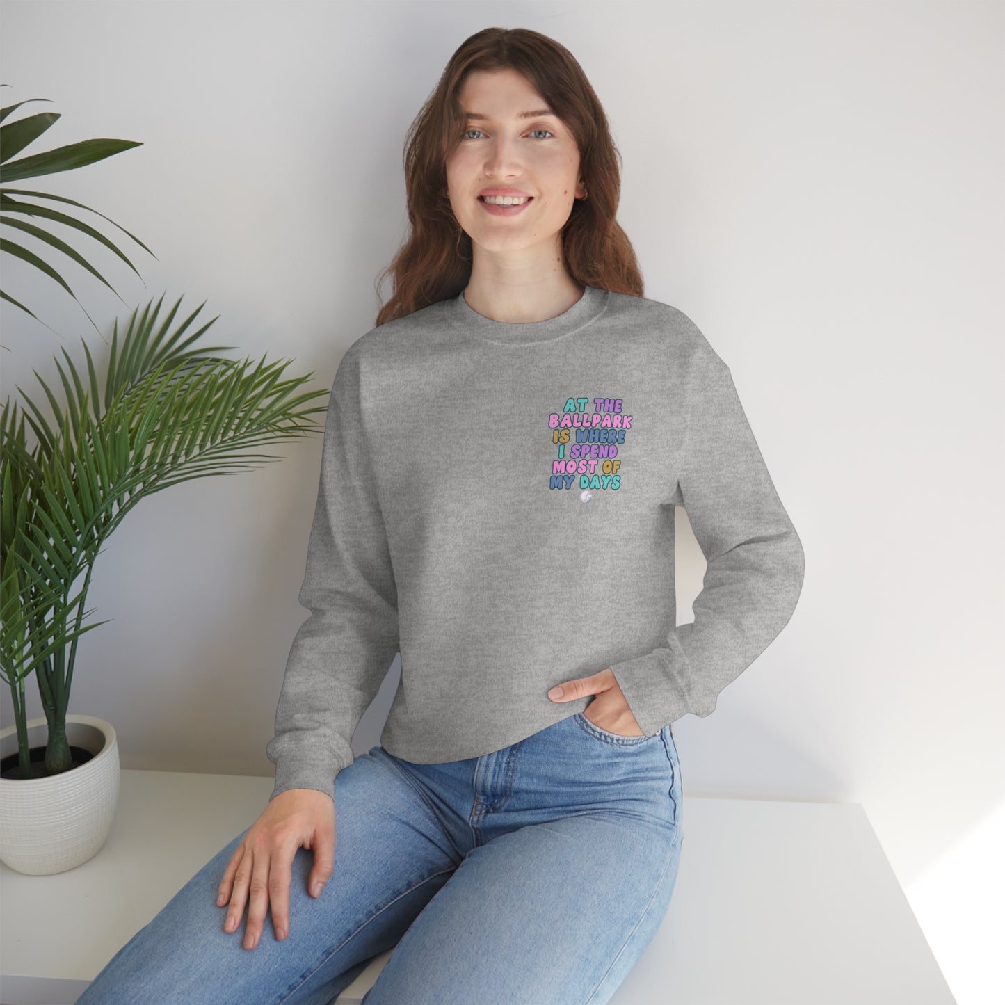 *At the Ballpark Sweatshirt Back Print *5 Colors (S-5X)