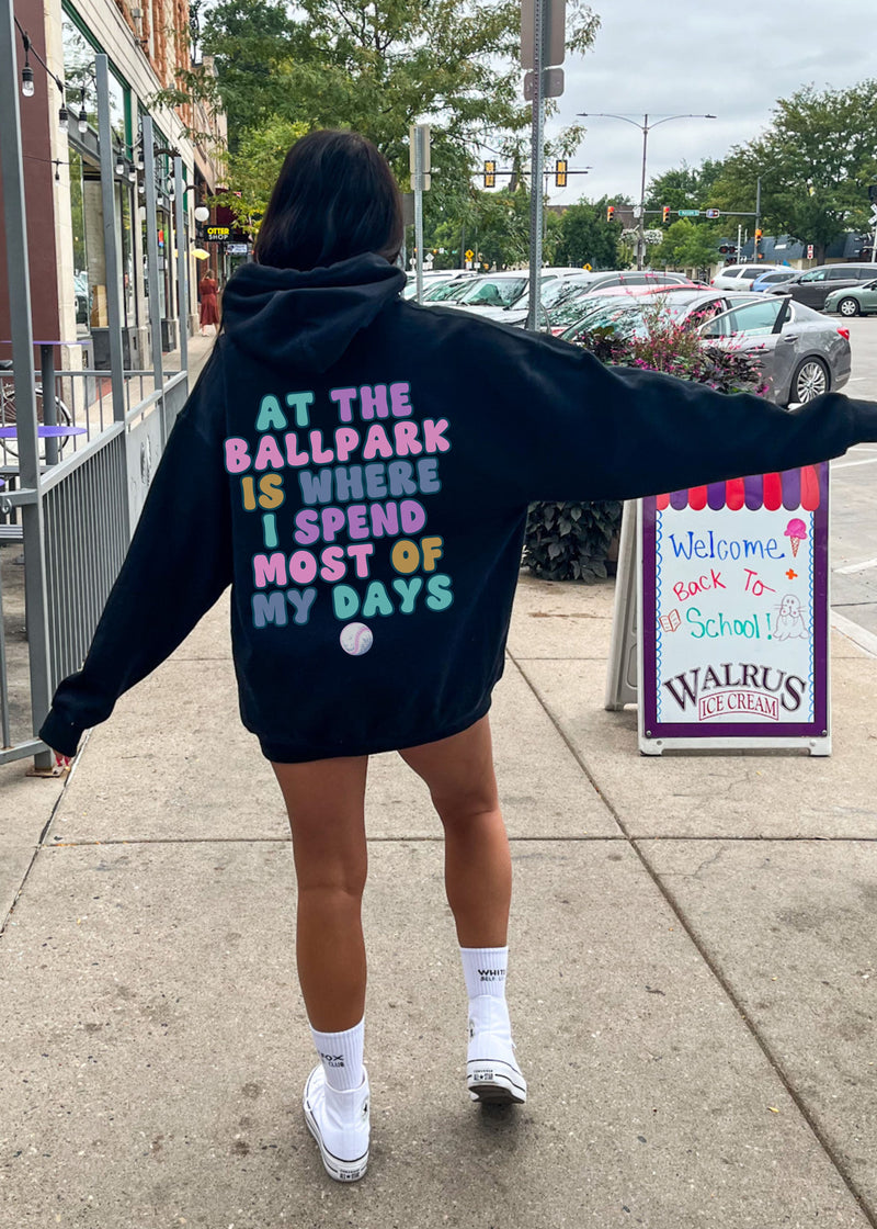 *At the Ballpark Back Print Hoodie *6 Colors (S-5X)