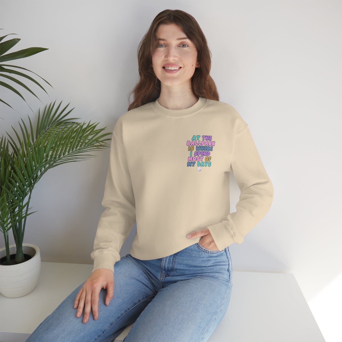 *At the Ballpark Sweatshirt Back Print *5 Colors (S-5X)