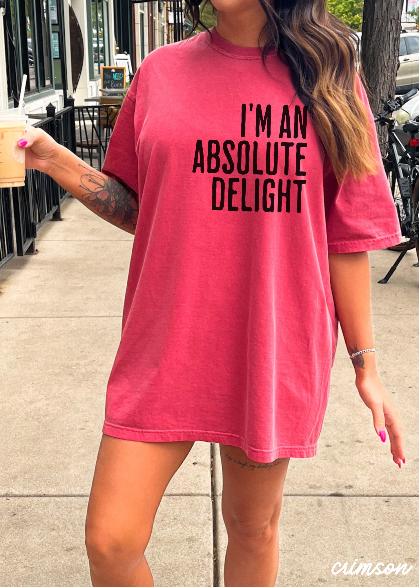 Absolute Delight Tee *12 Colors (S-3X)