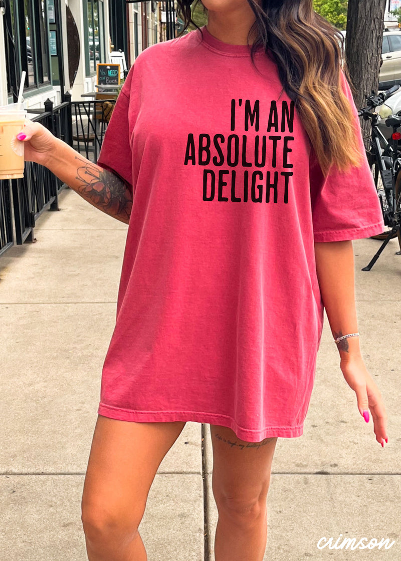 PRE-ORDER: Absolute Delight Tee *12 Colors (S-3X)