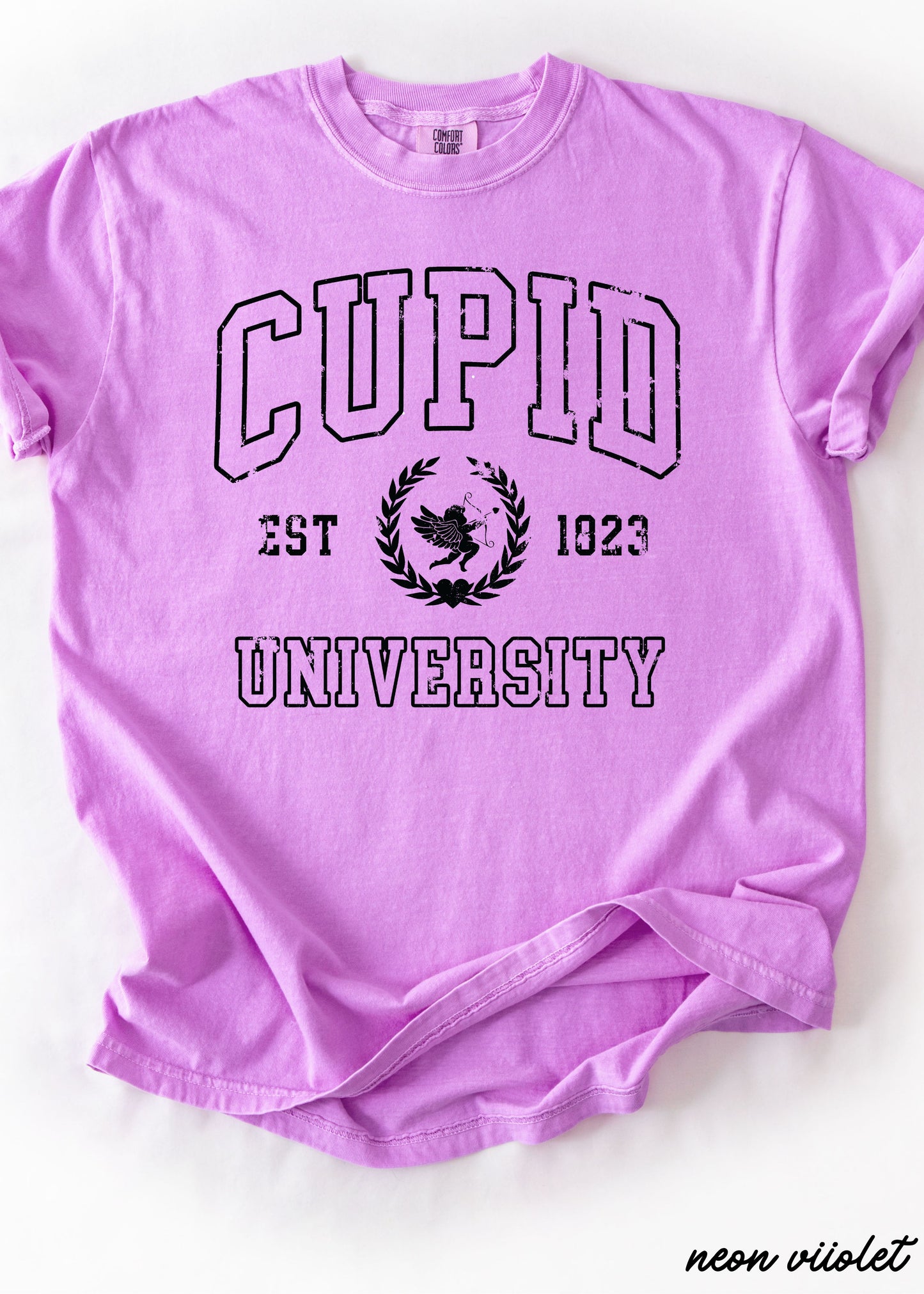Cupid University Tee *10 Colors (S-3X)