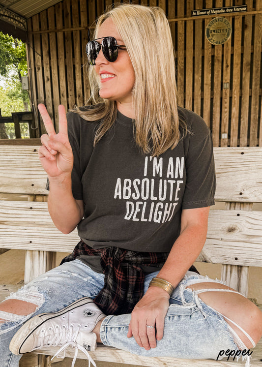 Absolute Delight Tee *12 Colors (S-3X)