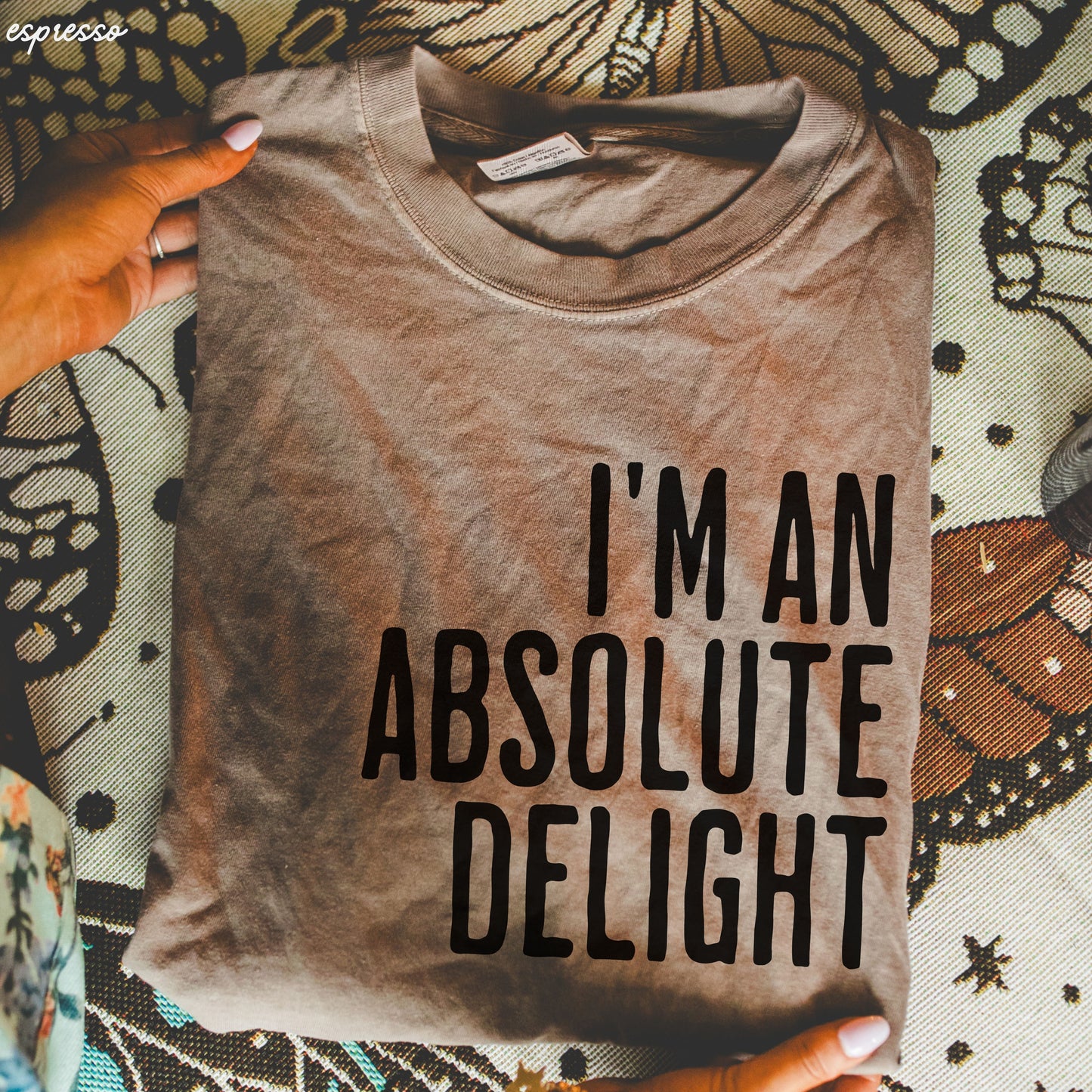 Absolute Delight Tee *12 Colors (S-3X)