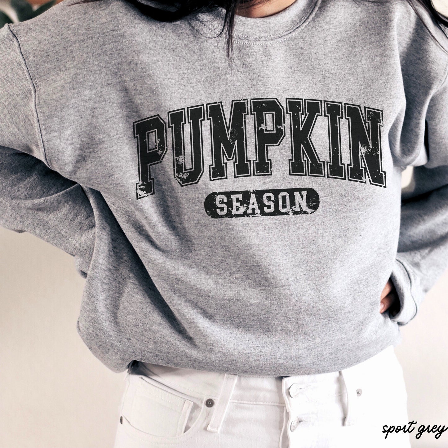 Pumpkin Season Sweatshirt *5 Colors (S-3X)