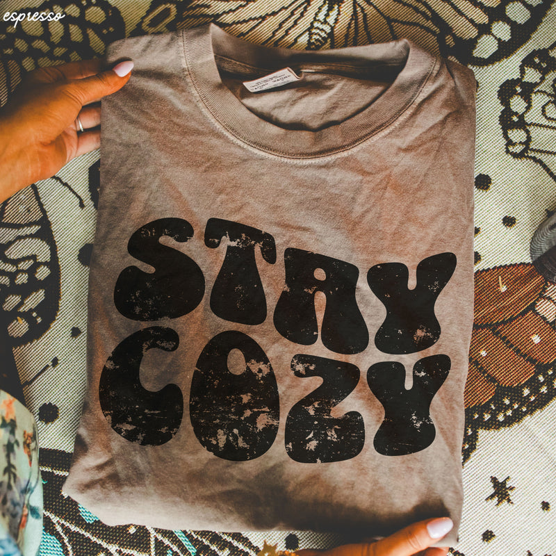 PRE-ORDER: Stay Cozy Tee *7 Colors (S-3X)