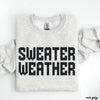 PRE-ORDER: Sweater Weather Sweatshirt *7 Colors (S-3X)