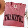 PRE-ORDER: Thankful University Tee *7 Colors (S-3X)