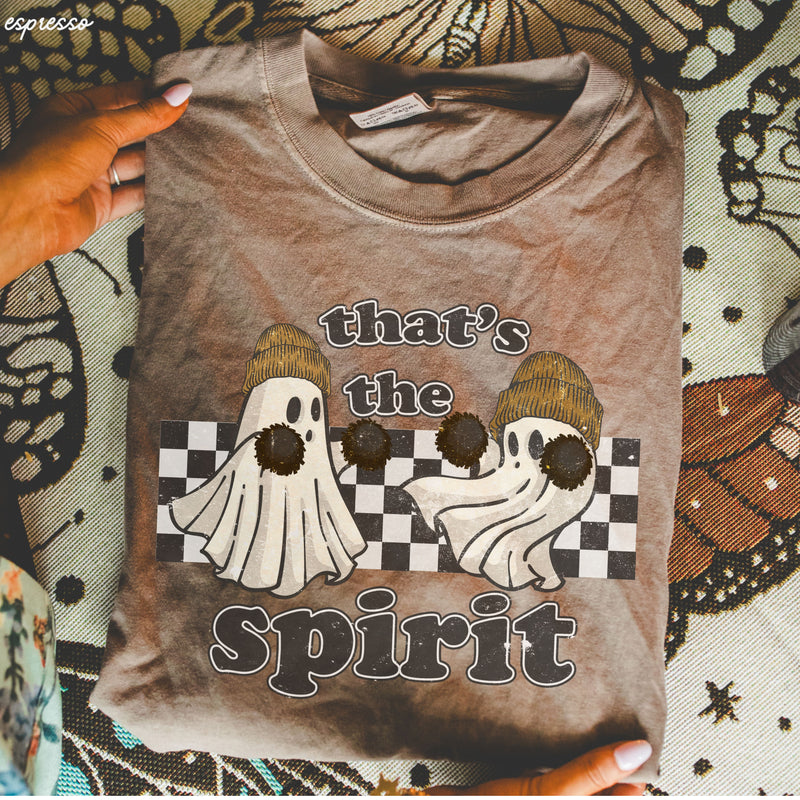 *That's The Spirit Cheer Tee *15 Colors (S-3X)